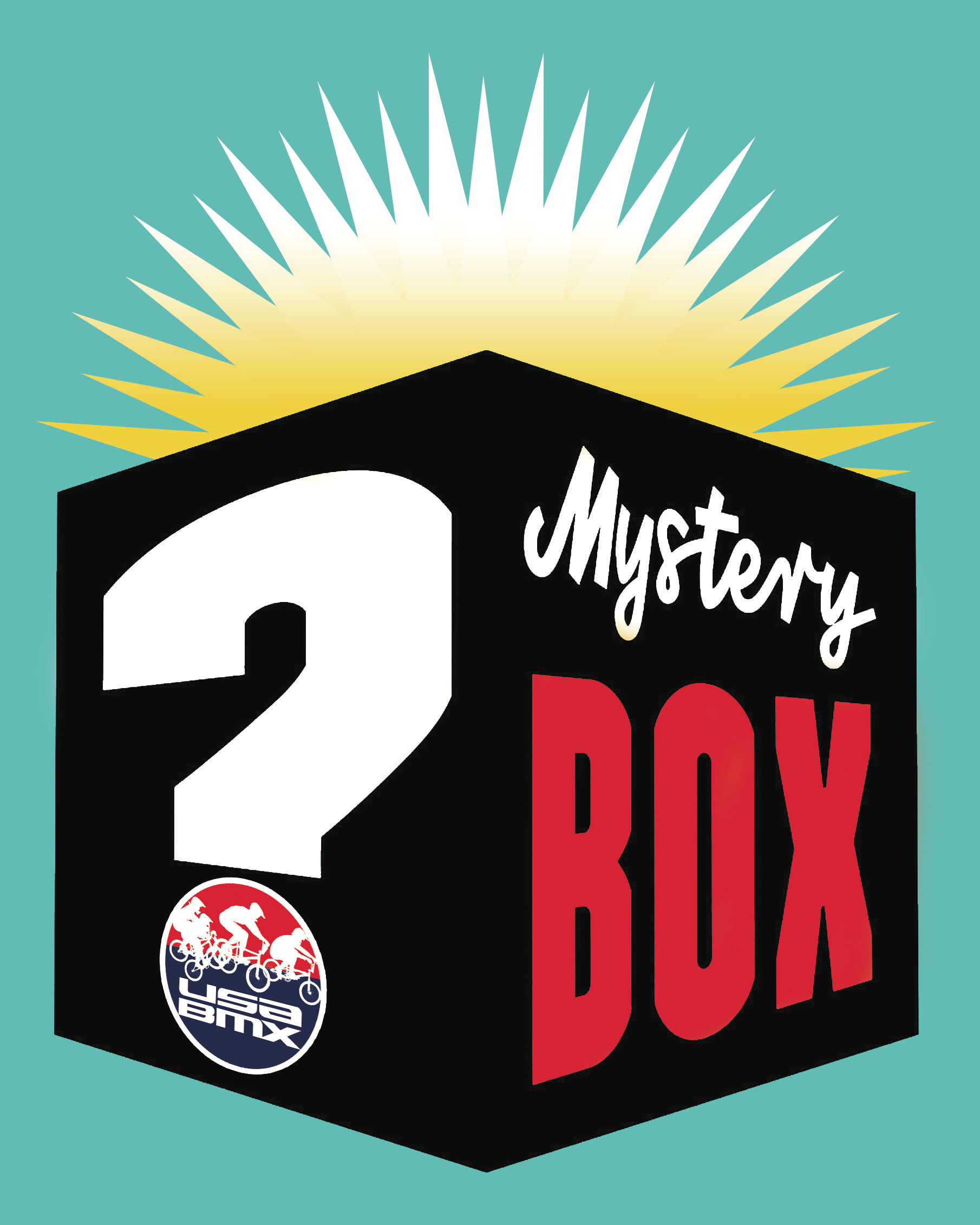 Mystery Box  Medium 